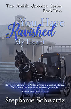 You Have Ravished My Heart by Stphanie Schwartz